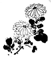 국화7.jpg 국화7.jpg