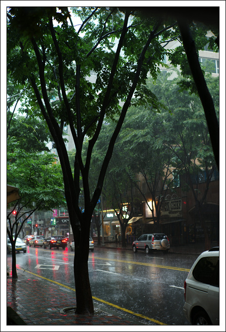 6e85d37a_L1001078.jpg