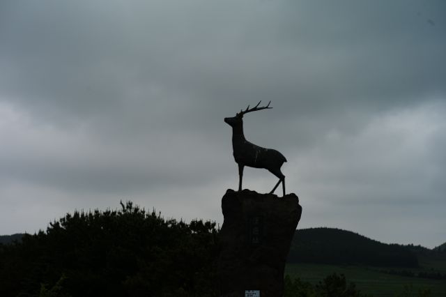 L1005859.jpg