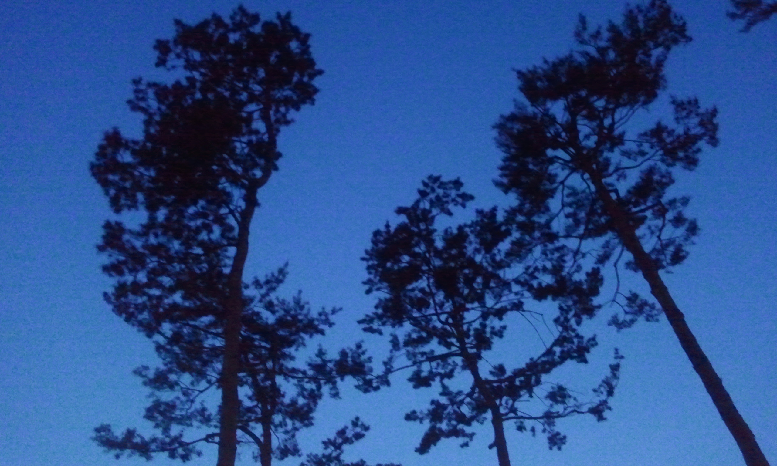 2012-05-07 05.05.19.jpg