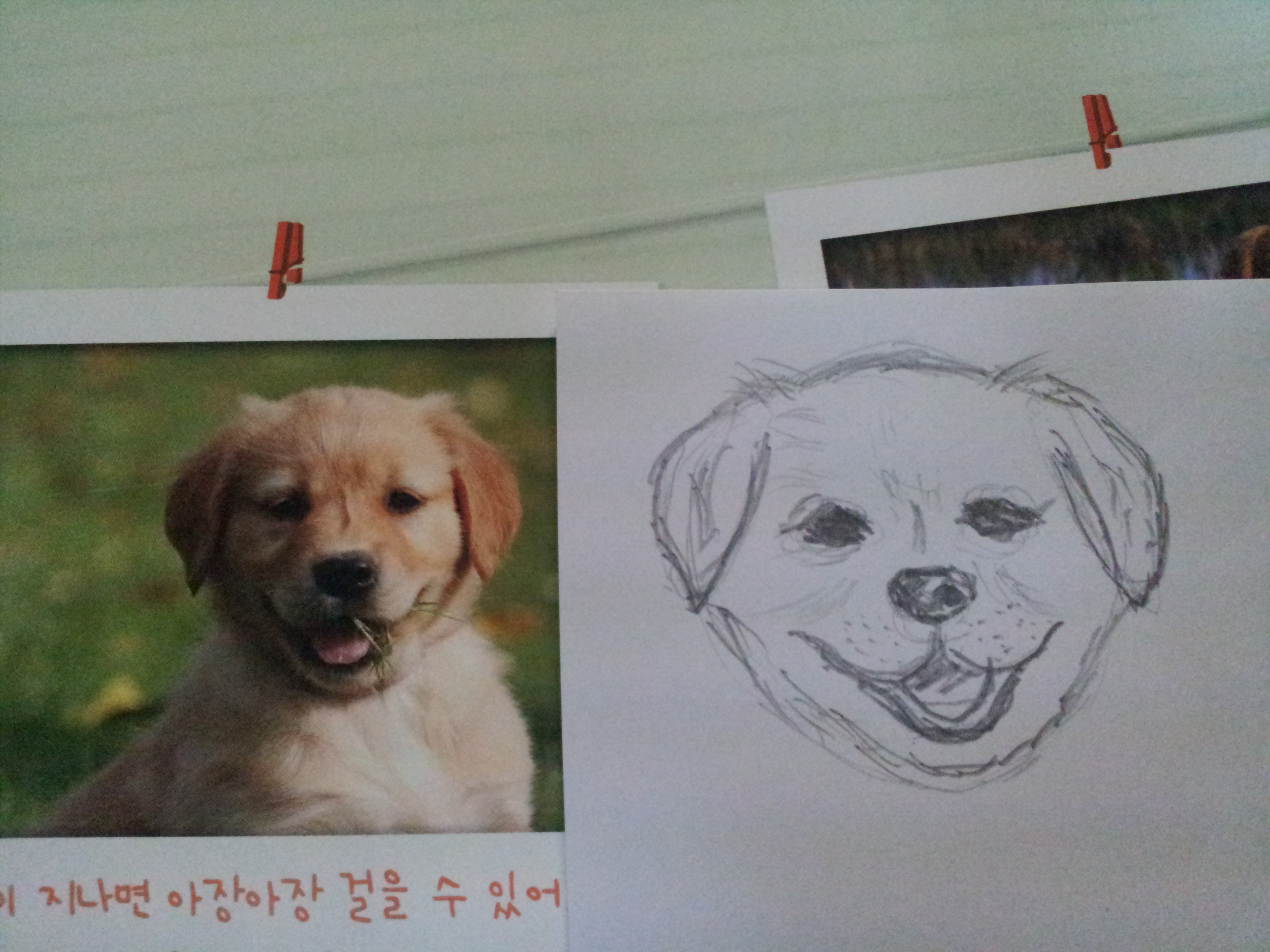 20120916_143132.jpg
