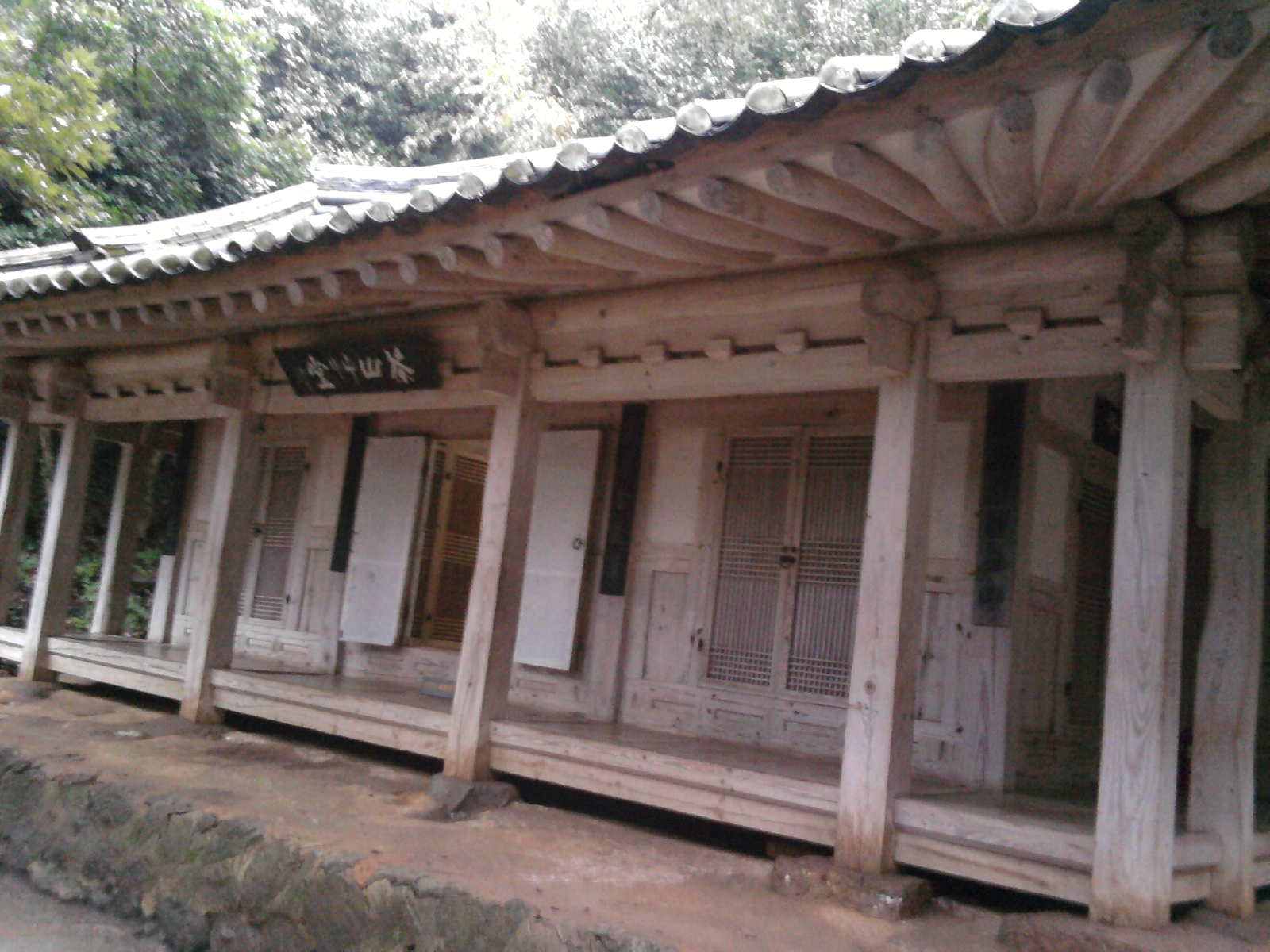P100226018.jpg