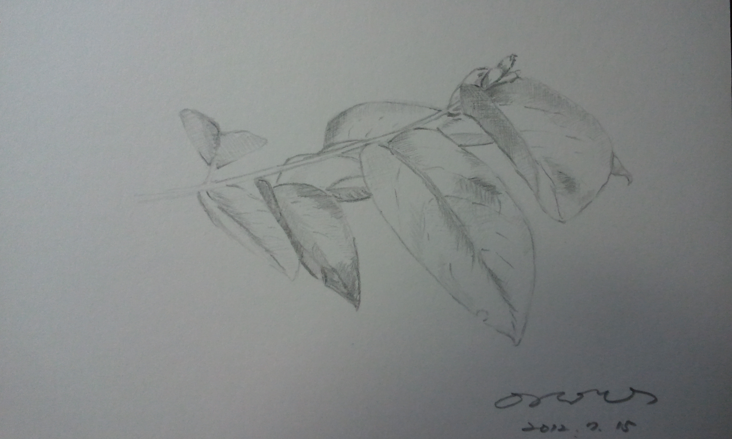 2012-07-15 10.13.13.jpg