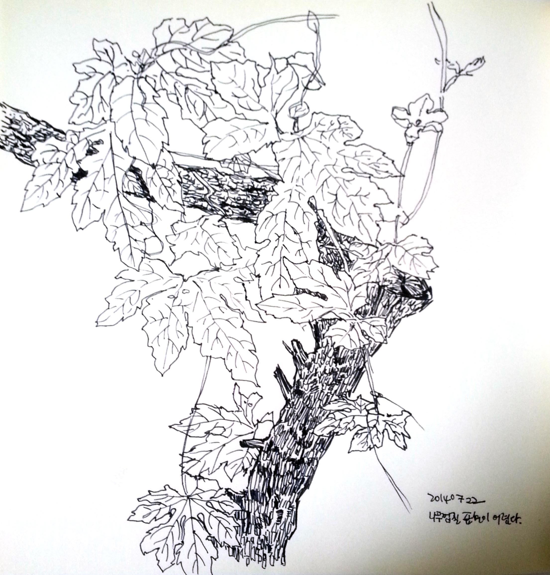 20140722_102316.jpg