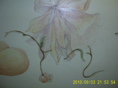 20100904-1.JPG