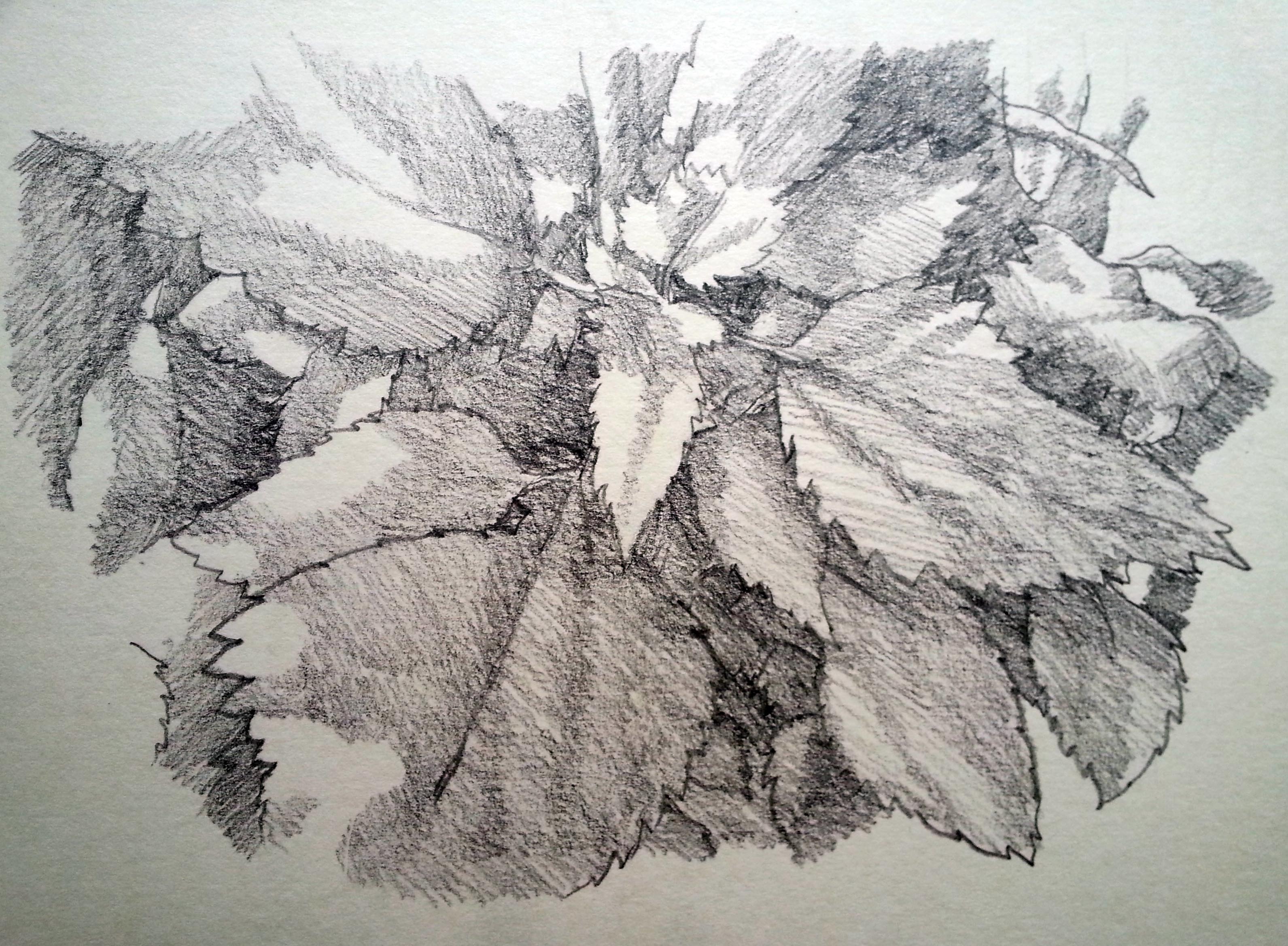 20140521_075930.jpg