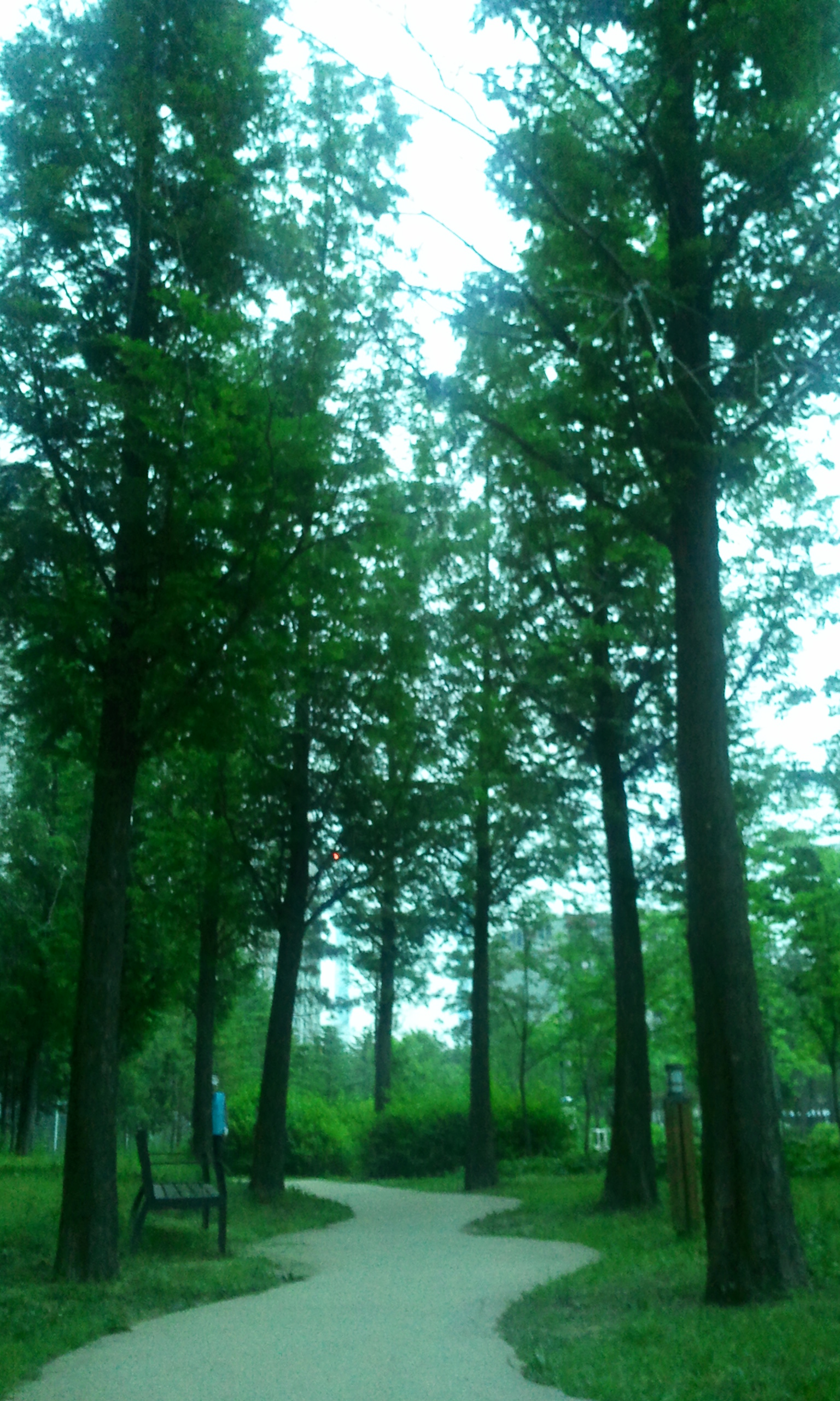2012-05-25 05.16.47.jpg