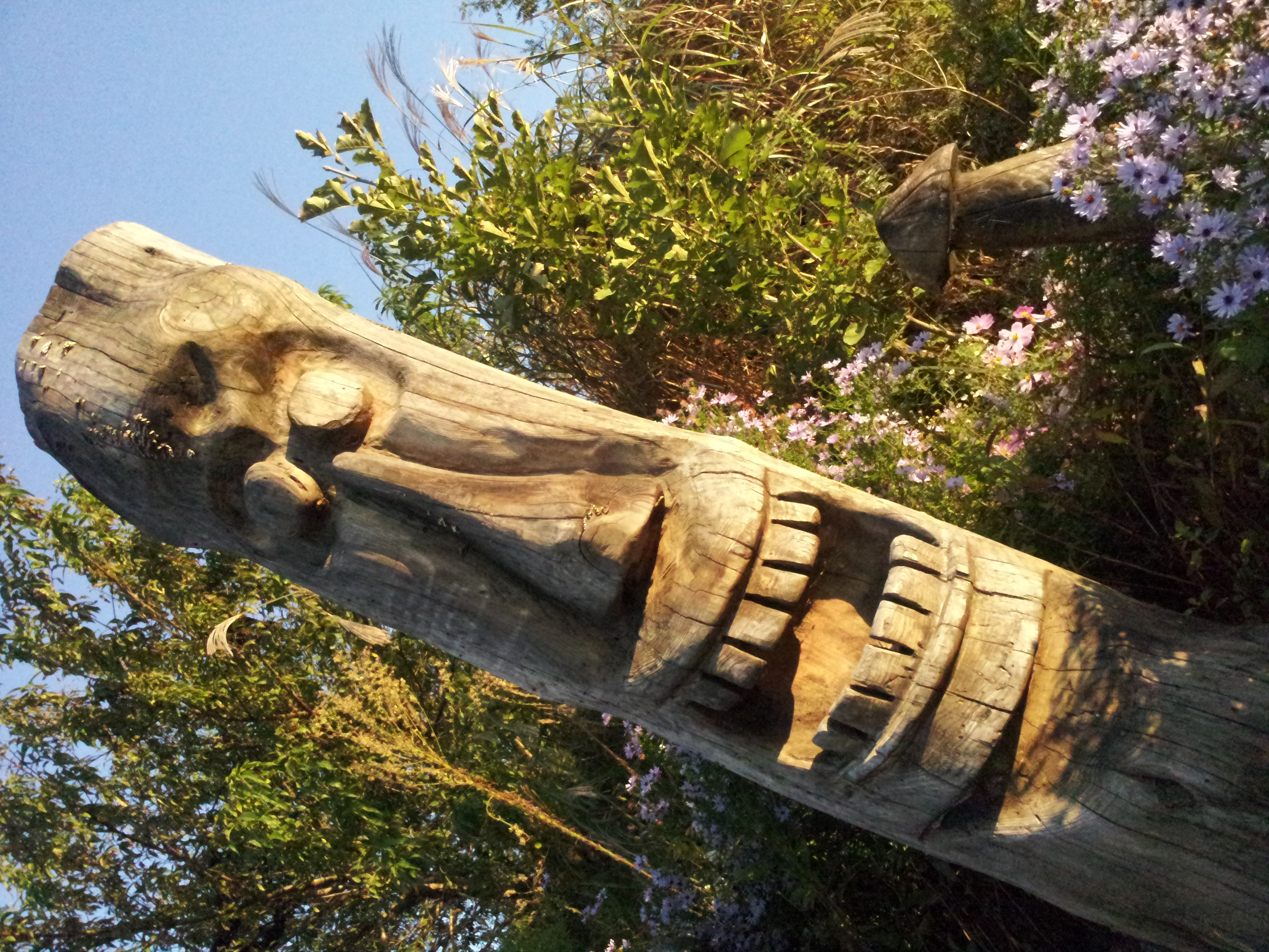 20121001_070152.jpg