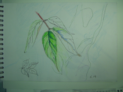20100619-13.JPG