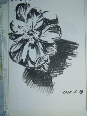 20100619-20.JPG