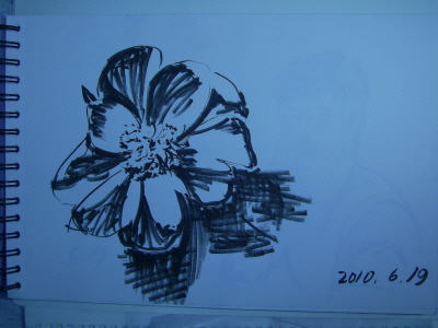 20100619-21.JPG