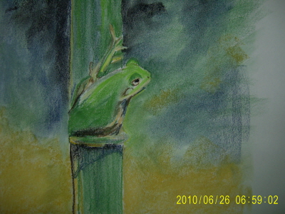20100626-1.JPG