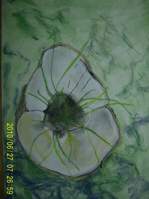 20100627-2.JPG