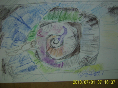 20100701-6.JPG