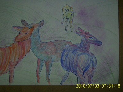 20100702-8.JPG
