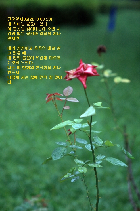 단군일지96.jpg