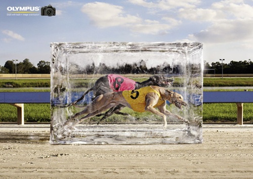 Olympus_ad_ice_1.jpg Olympus_ad_ice_1.jpg
