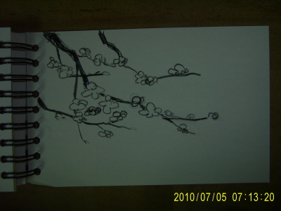 20100705-1.JPG