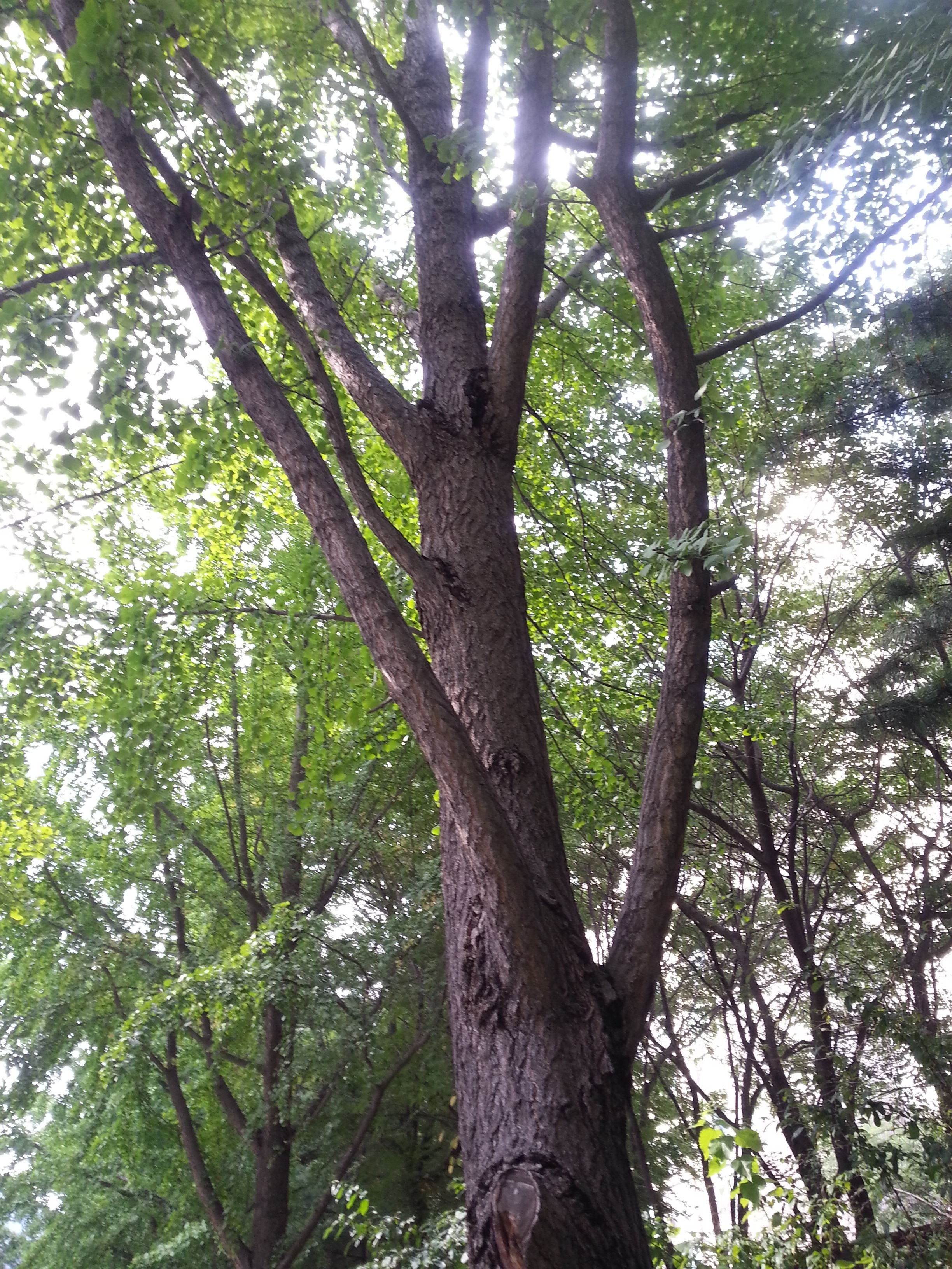 20140718_165005 복사.jpg