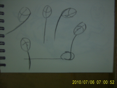 20100706-1.JPG
