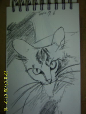 20100706-3.JPG