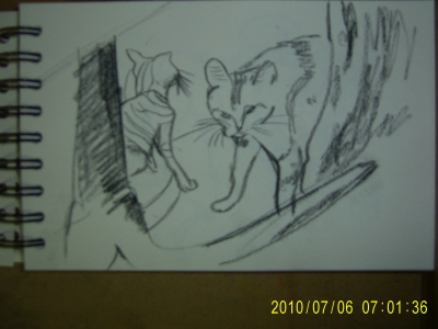 20100706-5.JPG