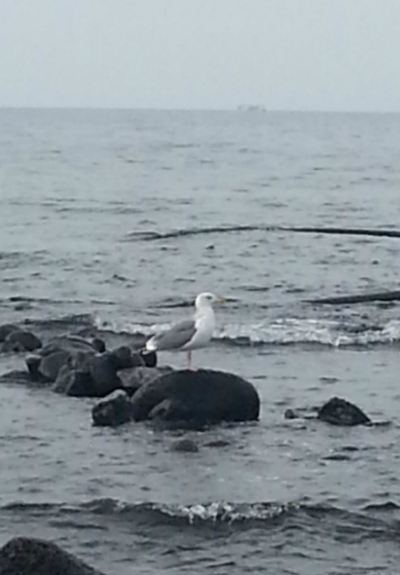 20130228_161207.jpg