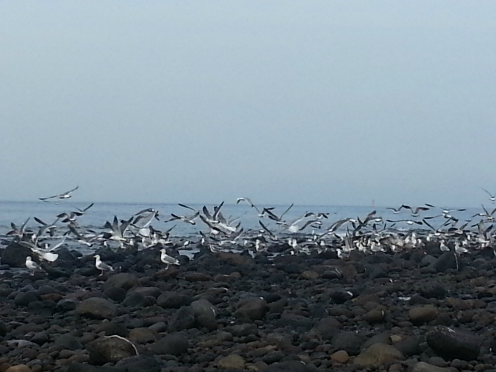 20130228_161003.jpg