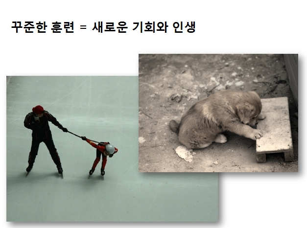 페이퍼파워15.jpg 페이퍼파워15.jpg