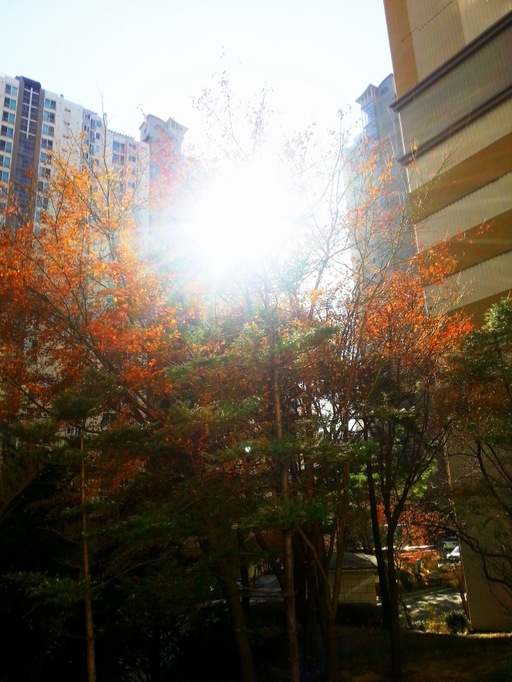 20131206_114028.jpg