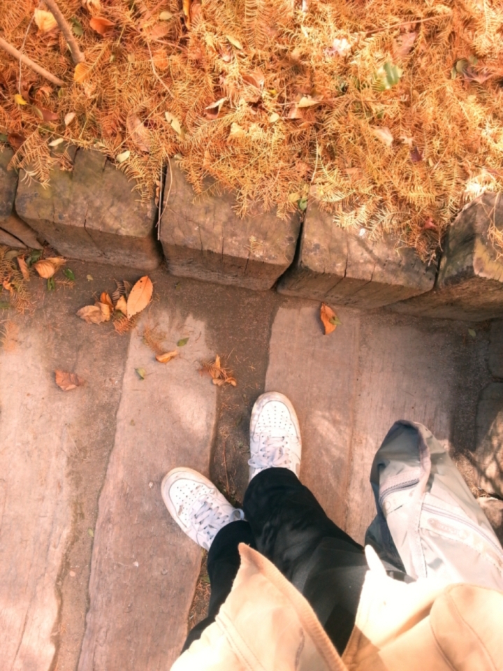20131206_114039.jpg