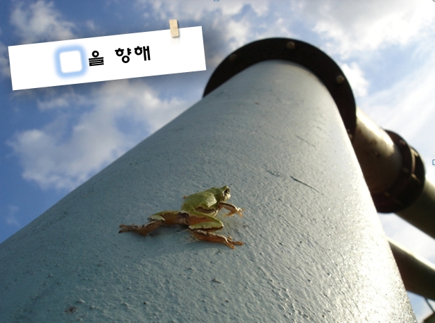 꿈8.jpg 꿈8.jpg