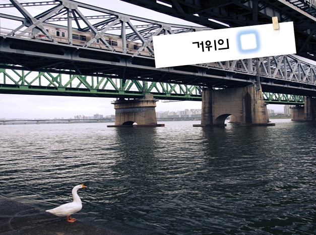 꿈12.jpg