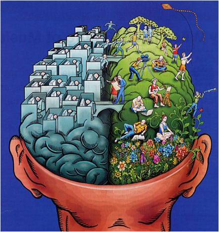 brain.jpg brain.jpg