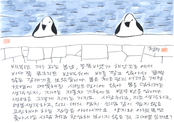 백목련겨우피는봄날.jpg