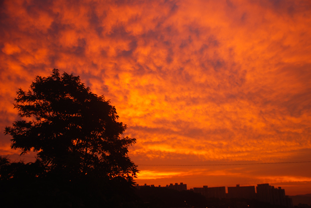 DSC_0886.jpg DSC_0886.jpg