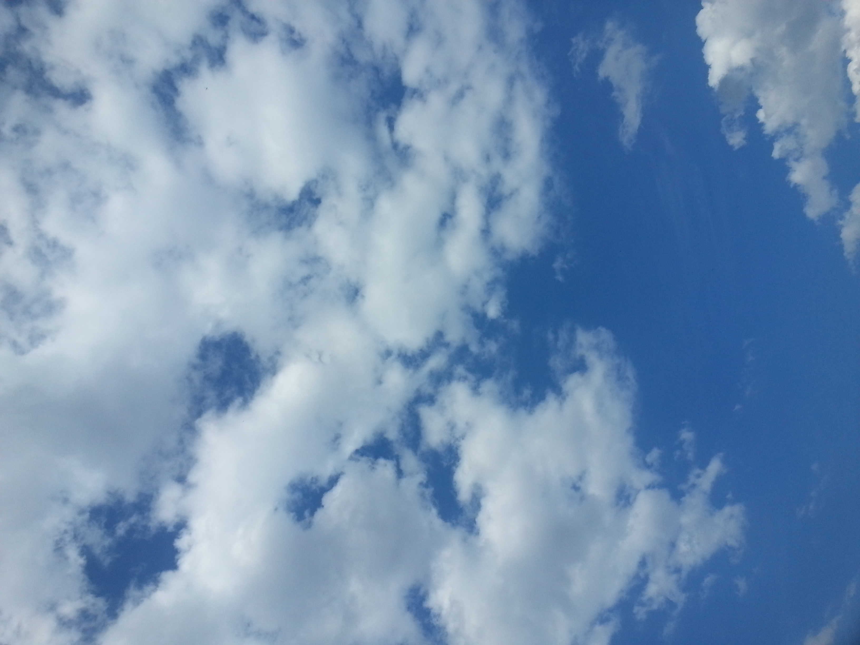 20140725_160729.jpg