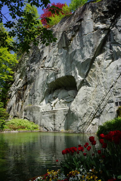 RR_DSC00258.JPG