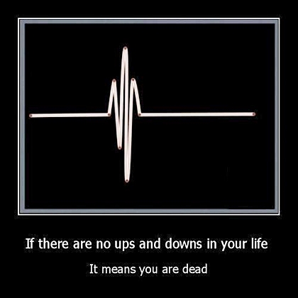 life.jpg life.jpg