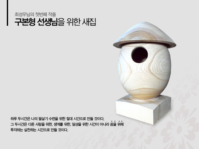 NestBox2010.jpg