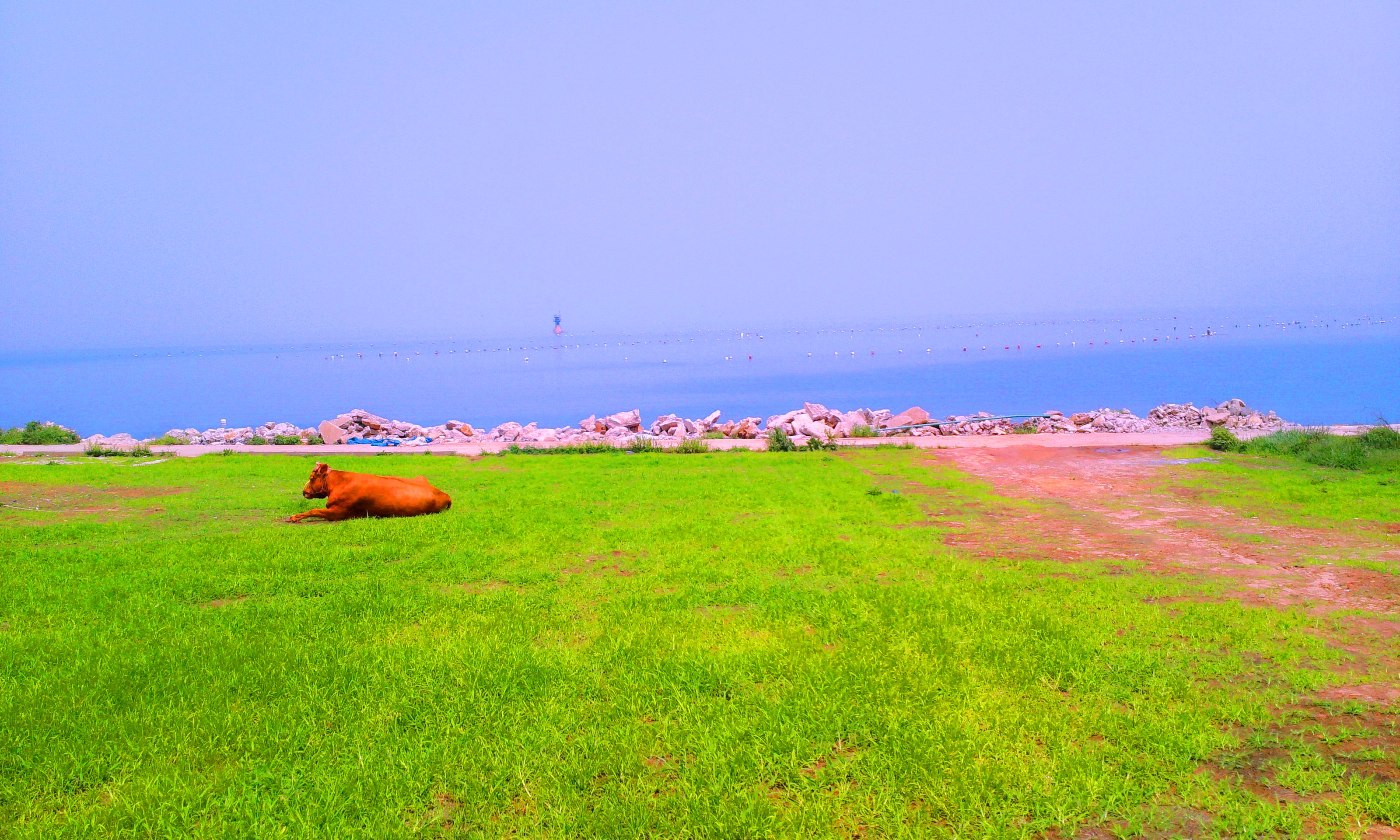 C360_2014-07-14-11-37-19-953.jpg