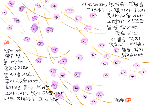 날 마다 좋은 날.jpg
