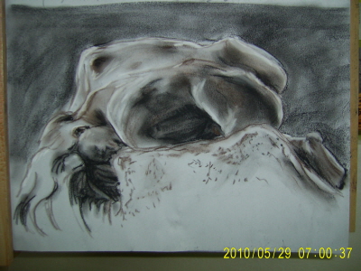20100529-로댕-3.JPG