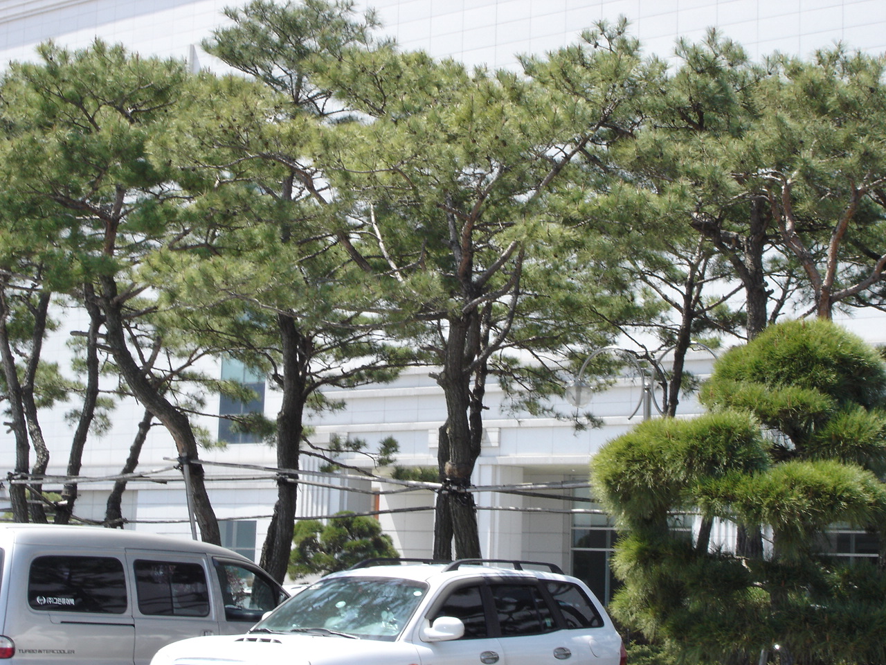 DSC07195.JPG