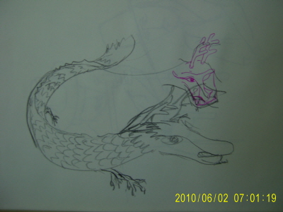 20100602-2.JPG