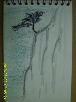20100602-7.JPG