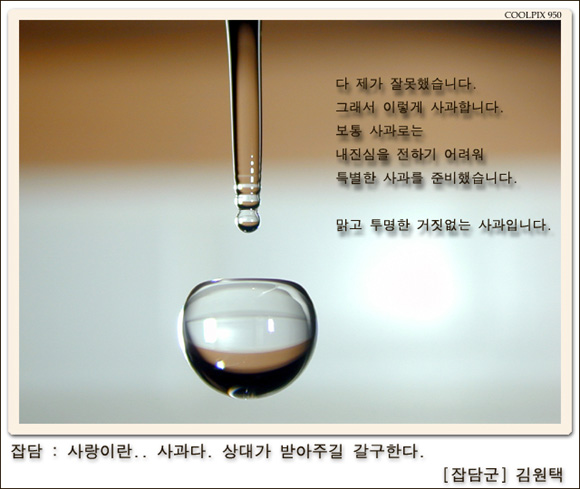 n019.jpg