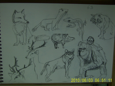 20100603-1.JPG