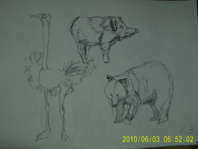 20100603-2.JPG