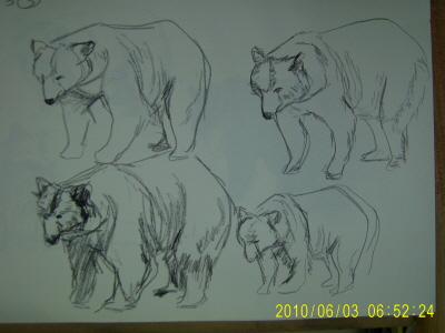 20100603-3.JPG